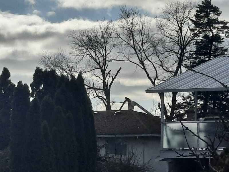 Tree service worker in a distant boom truck bucket 2