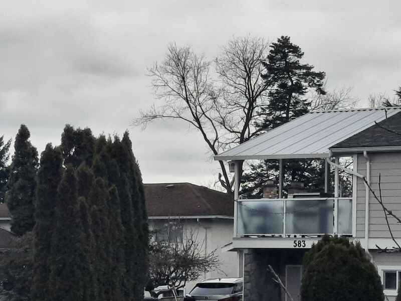 Tree service worker in a distant boom truck bucket 6