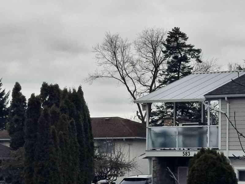 Tree service worker in a distant boom truck bucket 7