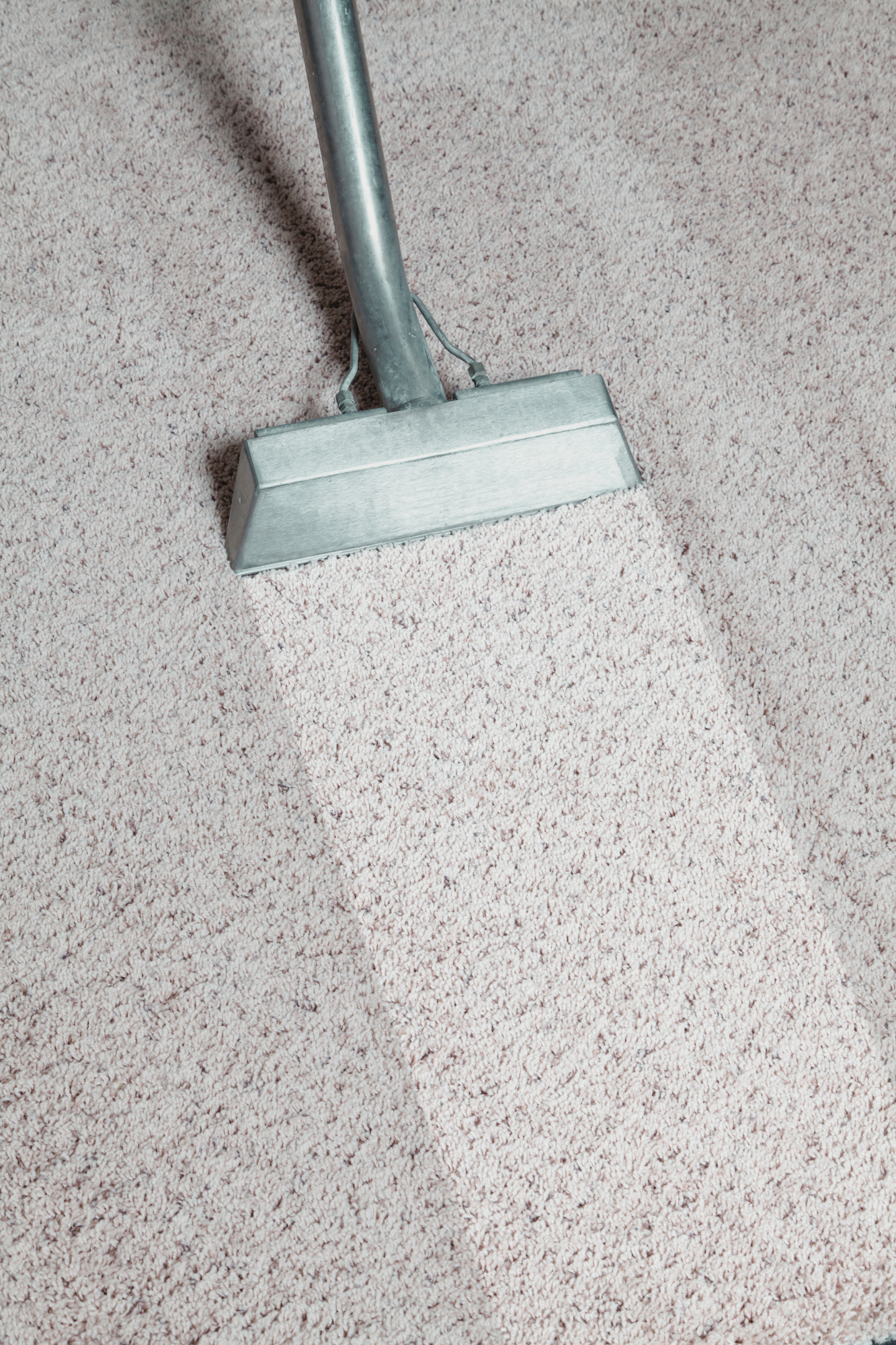 Top Clean Specialist - Carpet Cleaning