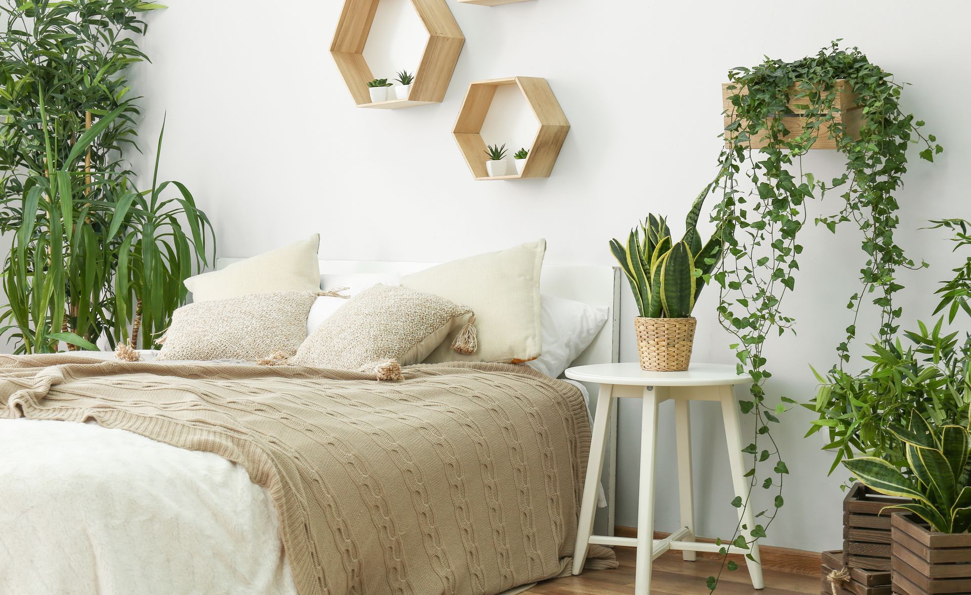 A bedroom with a bed , table , and plants on the wall.