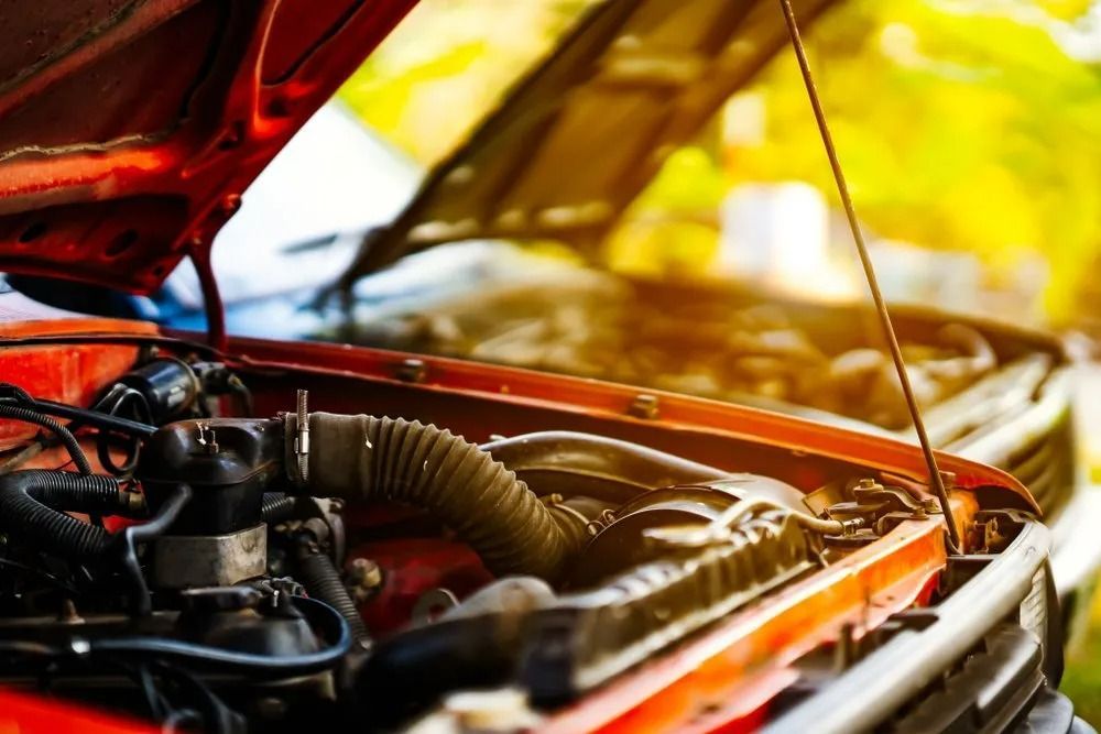 Open Car Hood, Revealing Engine Components — AutoHop Lambton in Lambton, NSW
