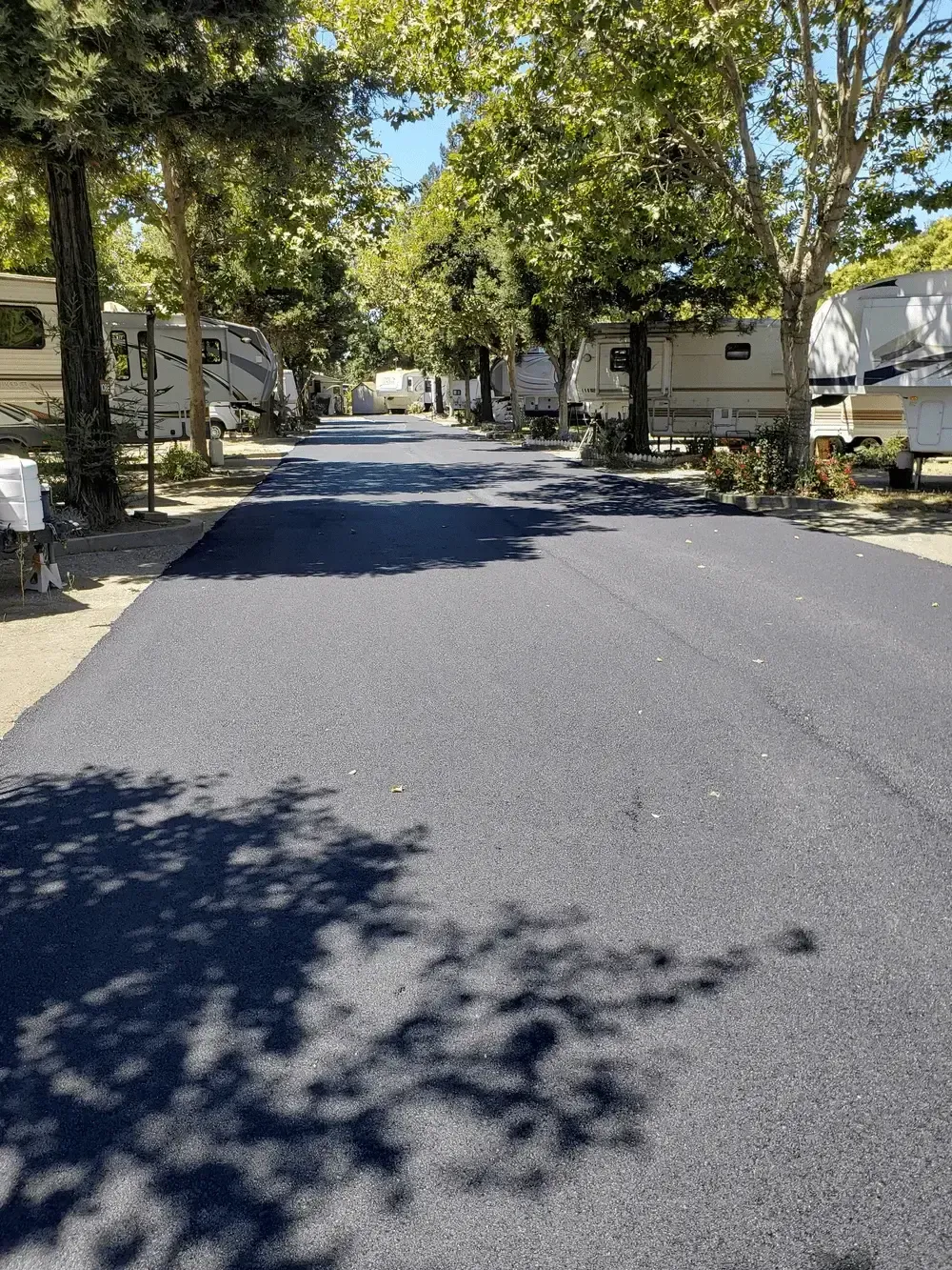 A row of rvs parked on the side of a road in a campground.