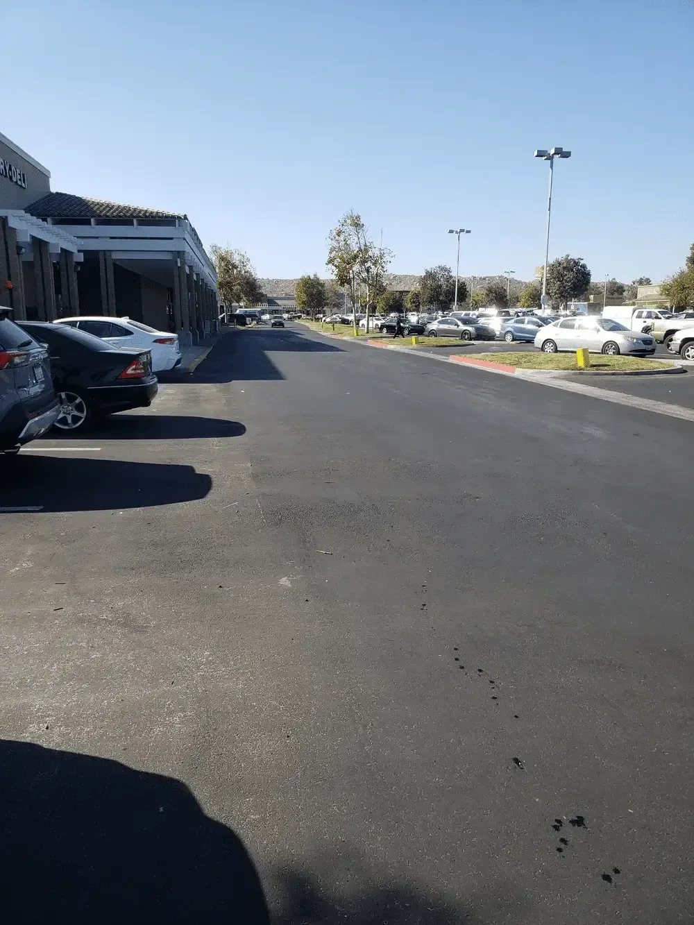 A lot of cars are parked in a parking lot