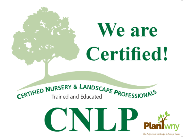 CNLP logo