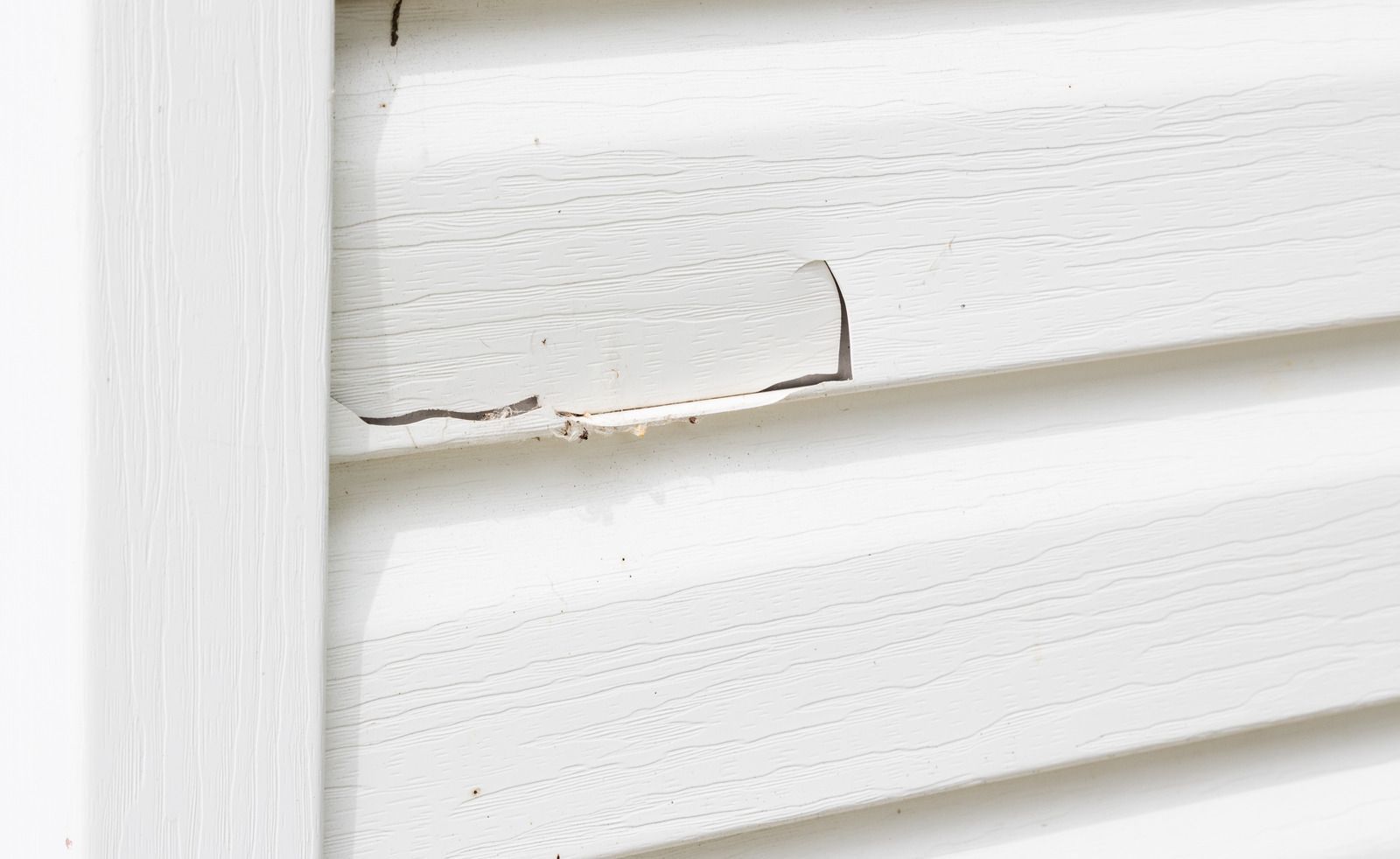Close-up of white siding with peeling paint, showing damage.