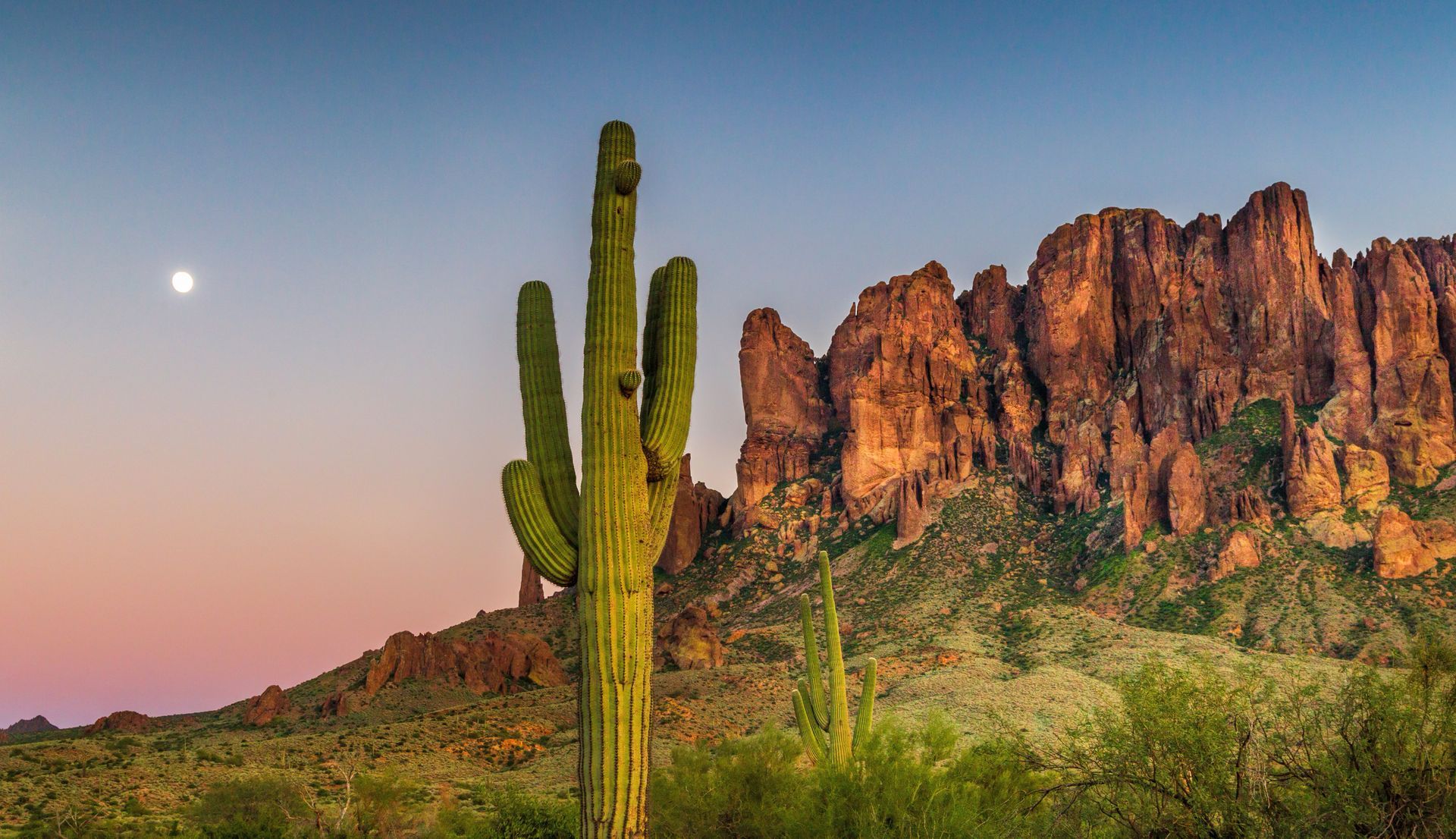 Arizona desert landscape
