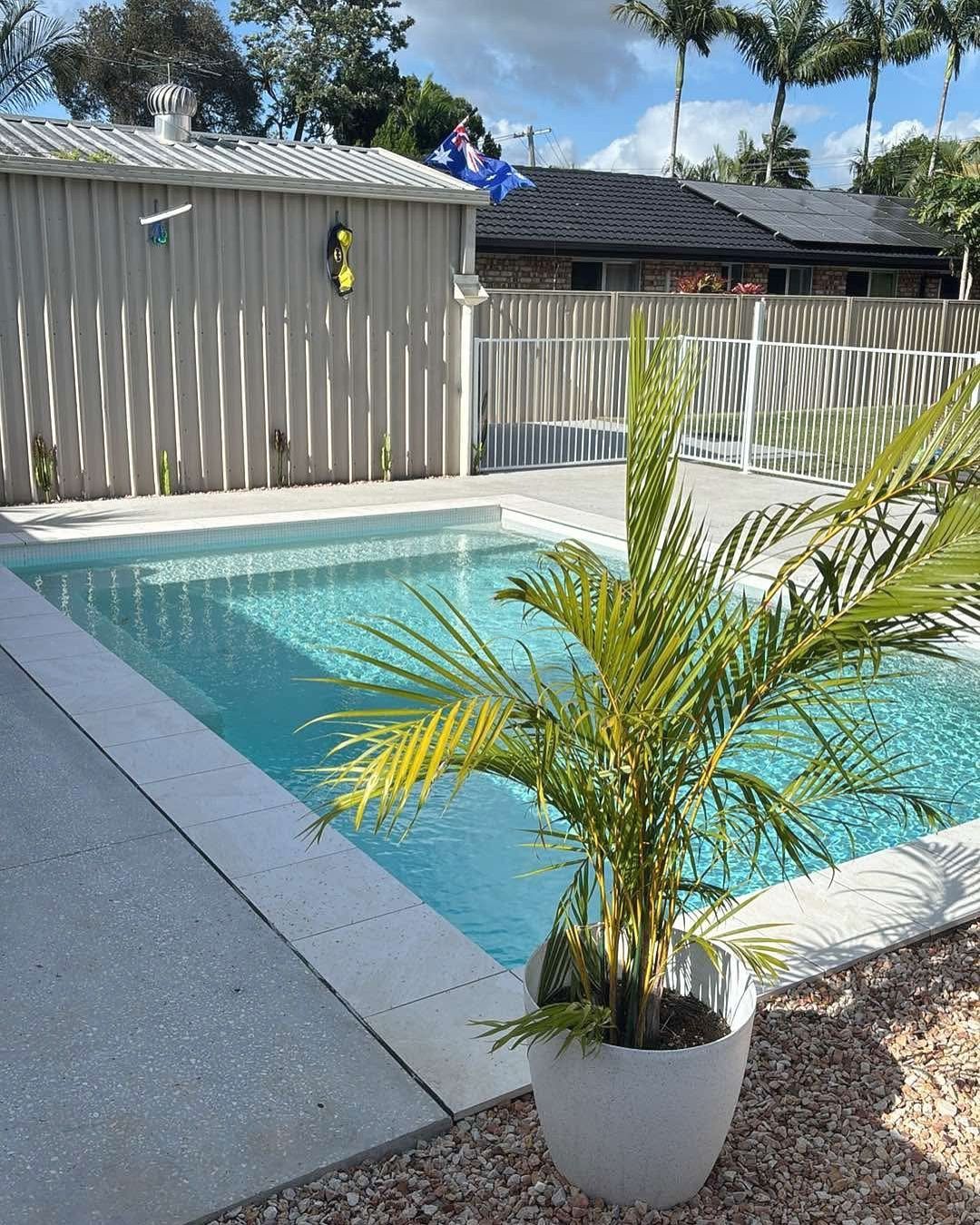 Poolside scene with a blue pool, a palm tree, and a shed. Sunny day.