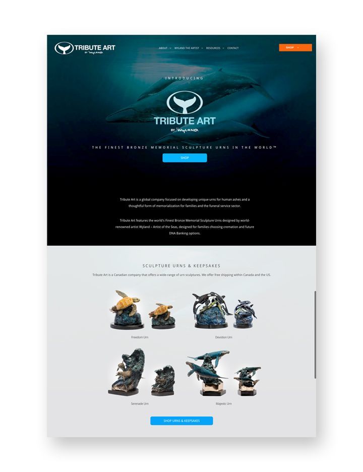 Sample of website design.