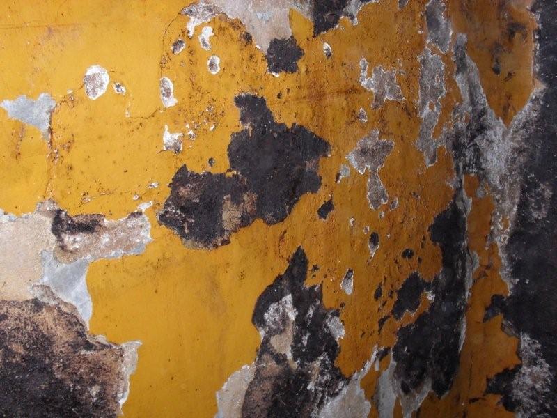 Pulizia di una parete