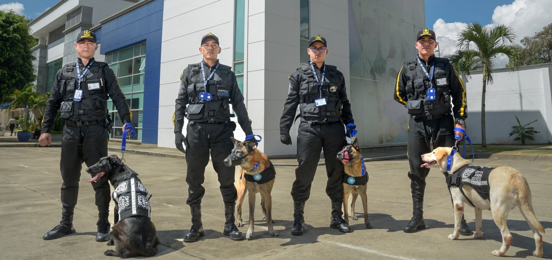 Vigilantes entrenados para el servicio de vigilancia canina de Sevicol