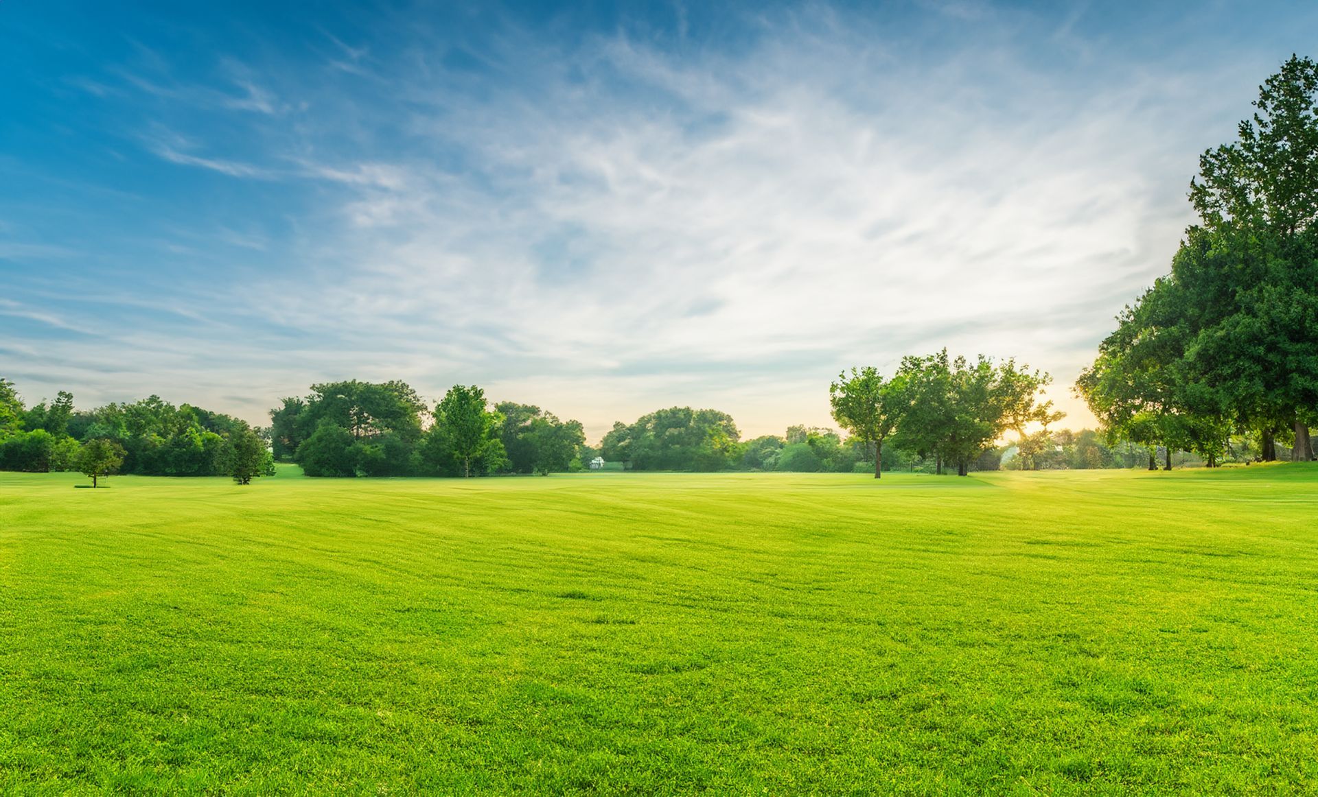 Vast green field with trees under a blue sky with scattered clouds.