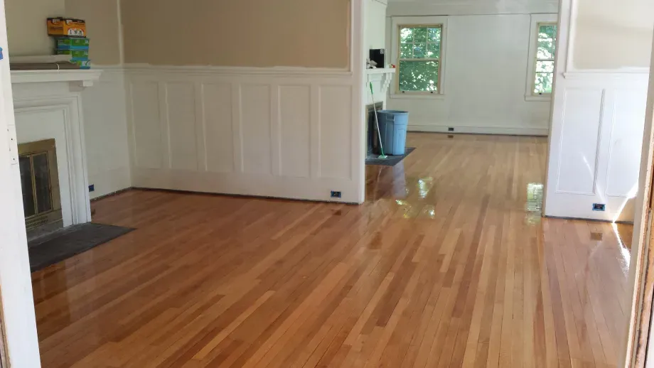 A living room with hardwood floors and a fireplace.