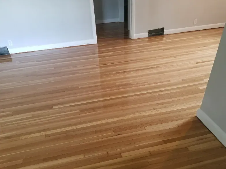 A living room with a wooden floor and a door.