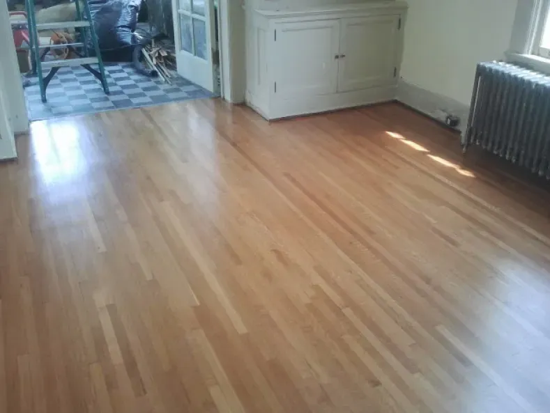 A living room with hardwood floors and a radiator.