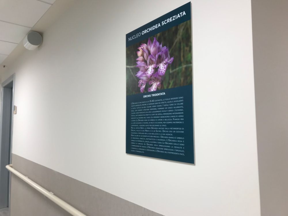 poster di fiori in casa di riposo