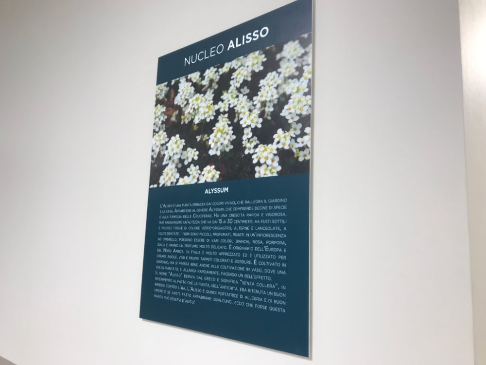 poster in casa di riposo