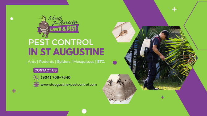 pest control St. Augustine