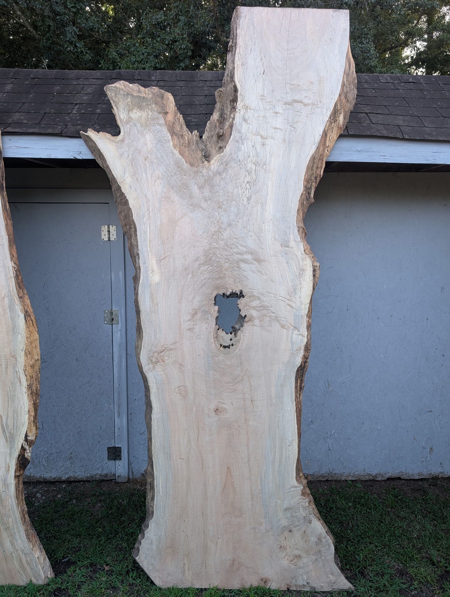 Maple slabs for dining tables in Asheville, Charlotte, and the Southeast