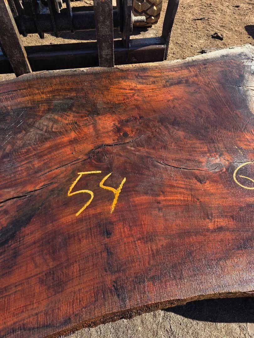 A large, dark red wooden slab with the number 54 written in yellow paint, sitting on a forklift.
