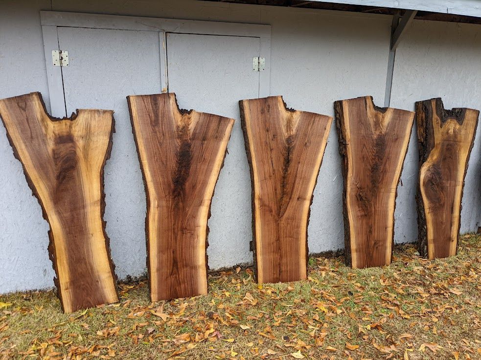 Five dark-grained wood slabs with natural edge and unique shapes, leaning against a gray building wall on grass.