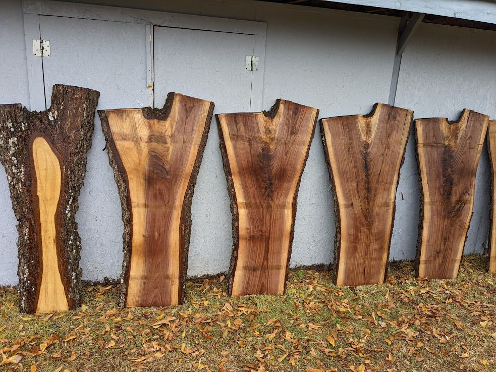 Five dark wooden slabs with natural edges, displayed outdoors against a grey wall. Leaves cover the ground.