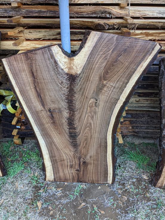 Live edge wood slab, dark brown with light edges, shaped like a Y, sitting on grass with stacked wood in the background.