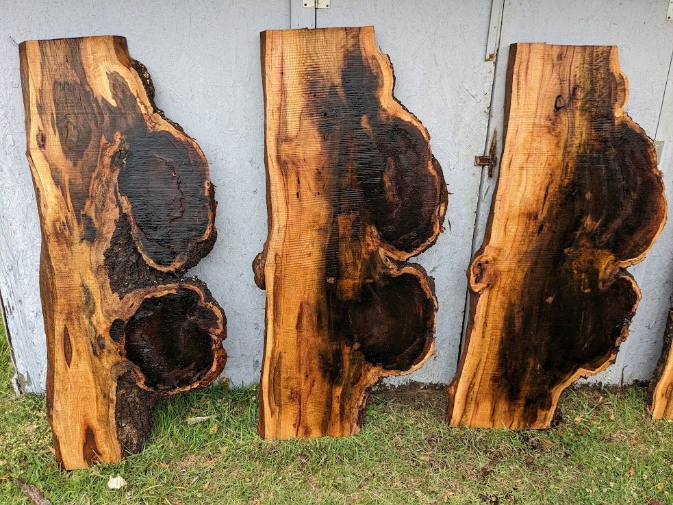 Red Oak 5 Foot Burl in Charlotte & Ashville NC, Shipping Nationwide.