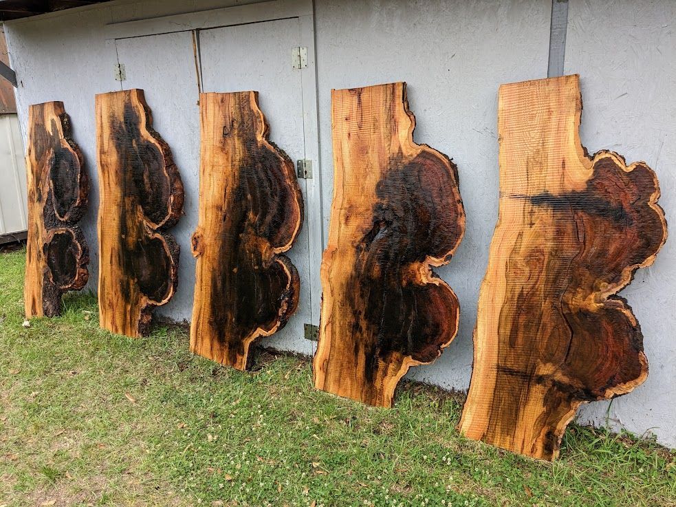 Red Oak 5 Foot Burl in Charlotte & Ashville NC, Shipping Nationwide.