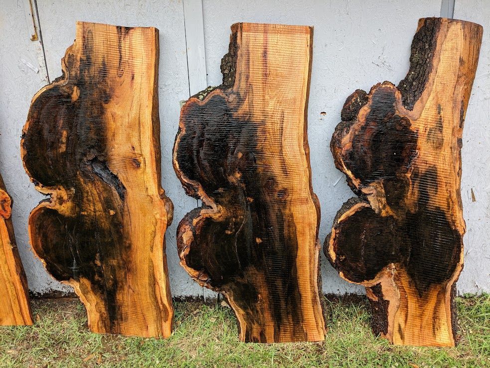 Red Oak 5 Foot Burl in Charlotte & Ashville NC, Shipping Nationwide.