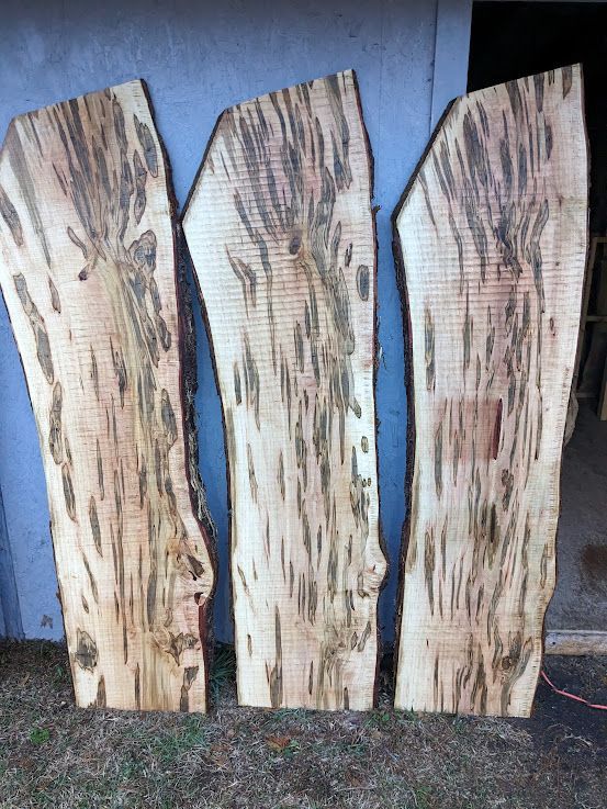 Ambrosia Maple Live Edge Slabs