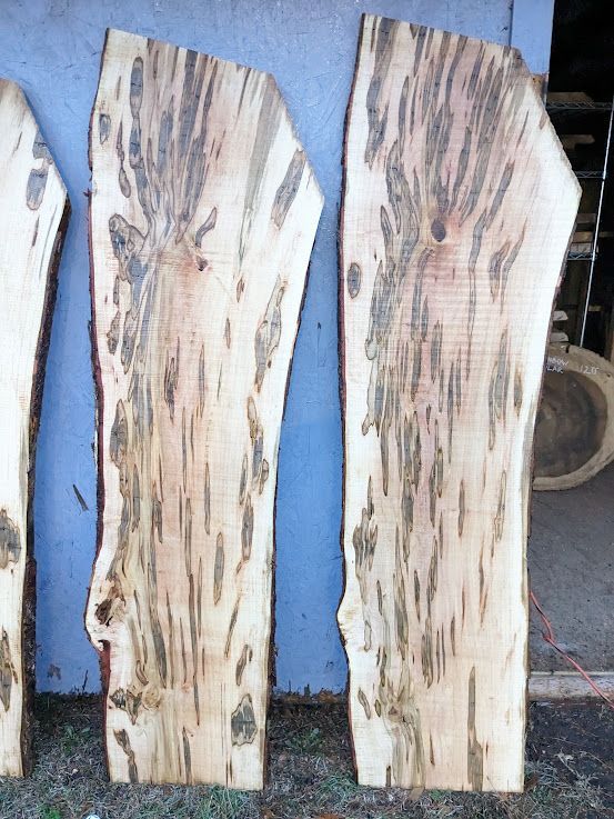 Ambrosia Maple Live Edge Slabs
