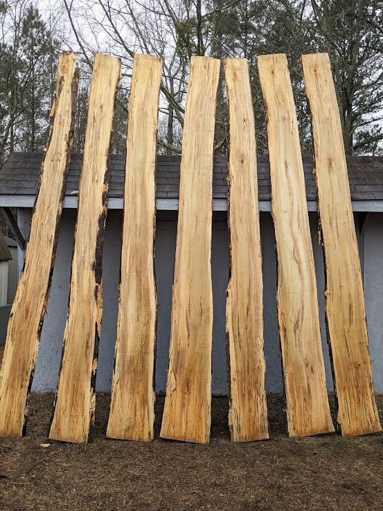 Spalted Maple l Live Edge Slabs 12 Foot