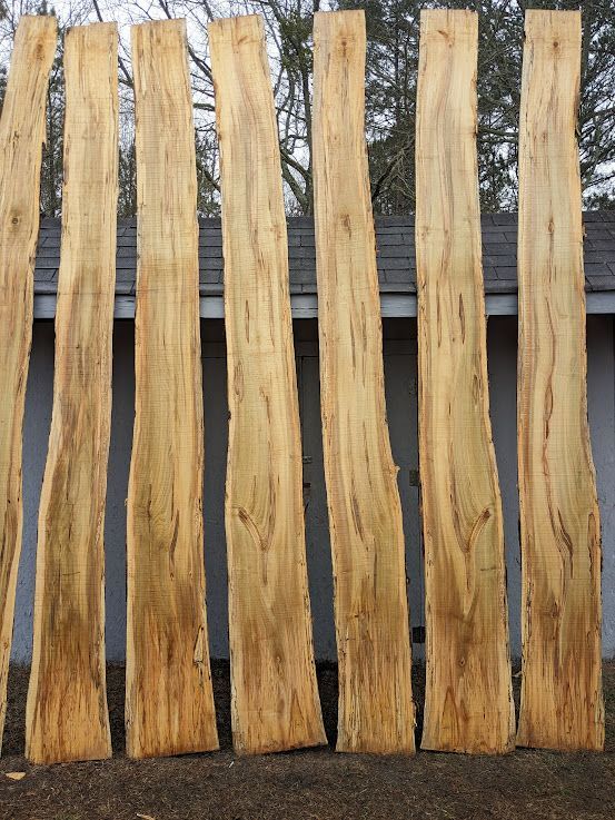 Spalted Maple l Live Edge Slabs 12 Foot