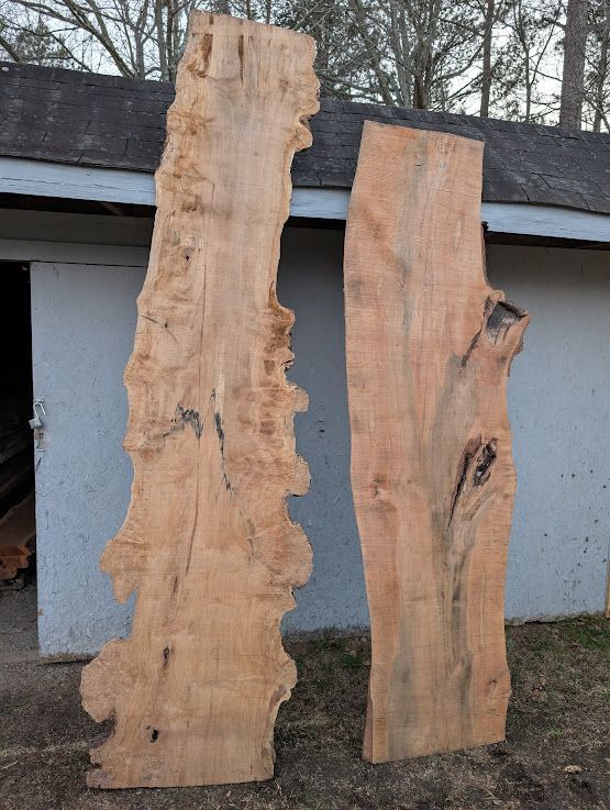Large Table Sized Maple Burl
