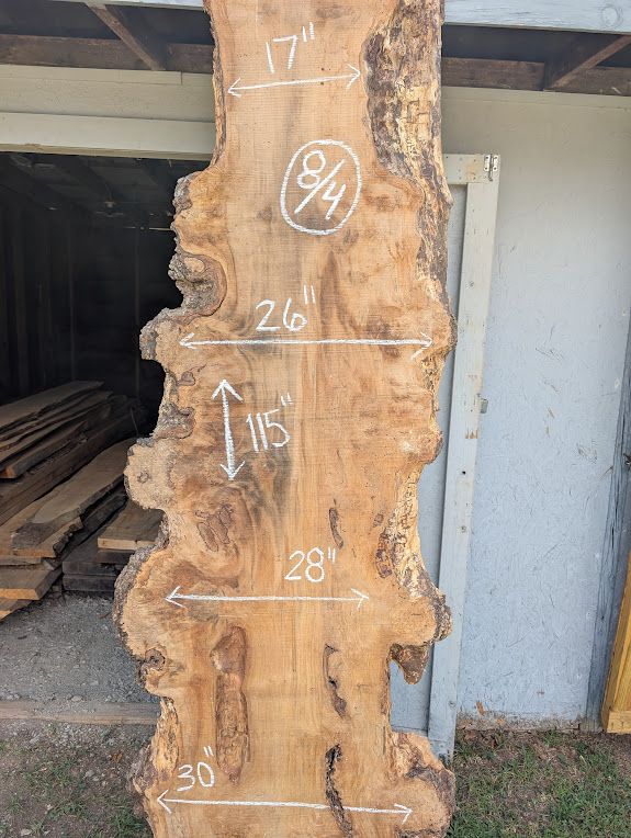 Large Table Sized Maple Burl