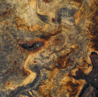Close up of buckeye burl wood grain and patterns showing grey and gold tones