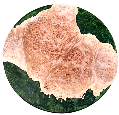 A green plate with a piece of meat on it