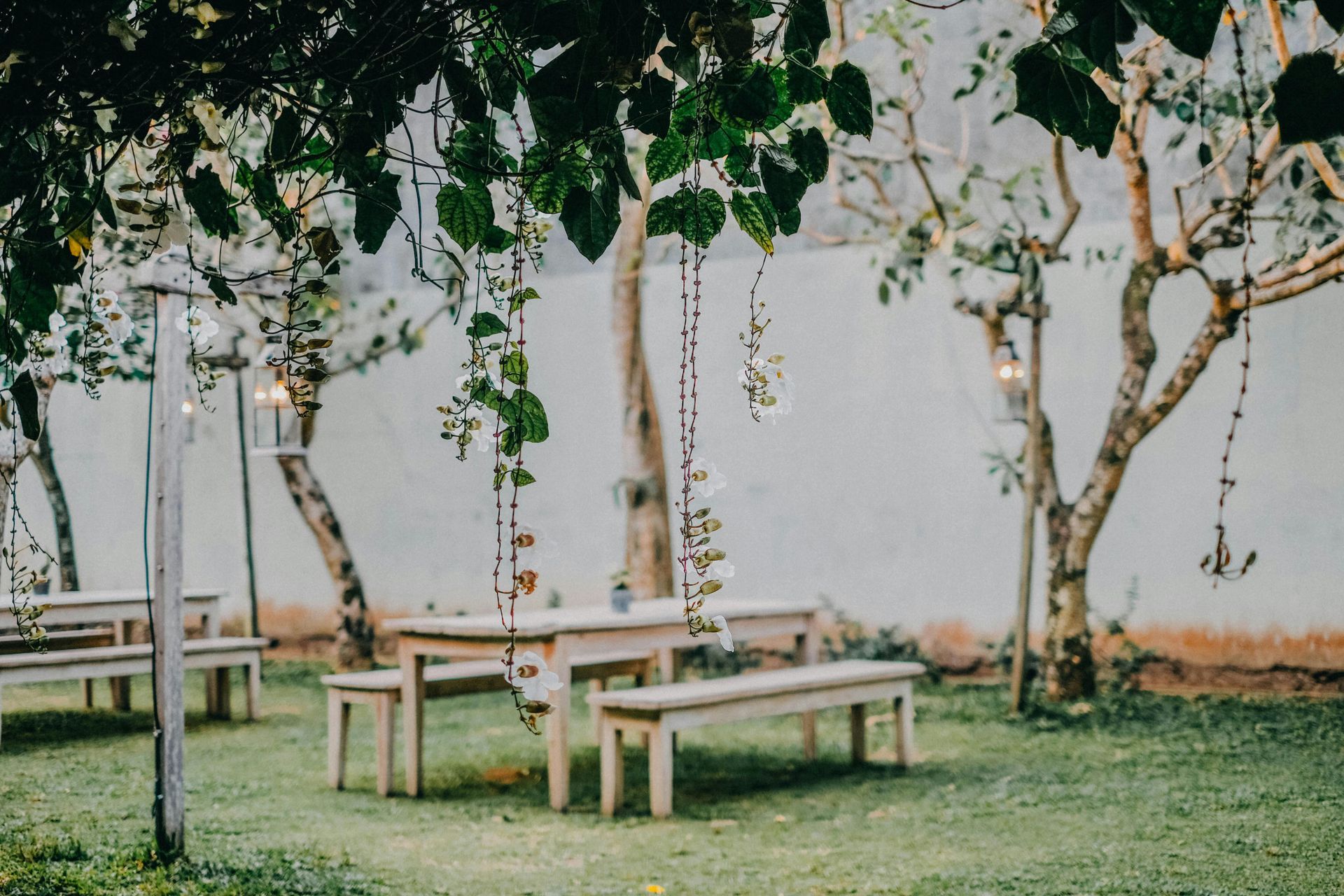 A group of wooden tables and benches sitting under trees in a garden.