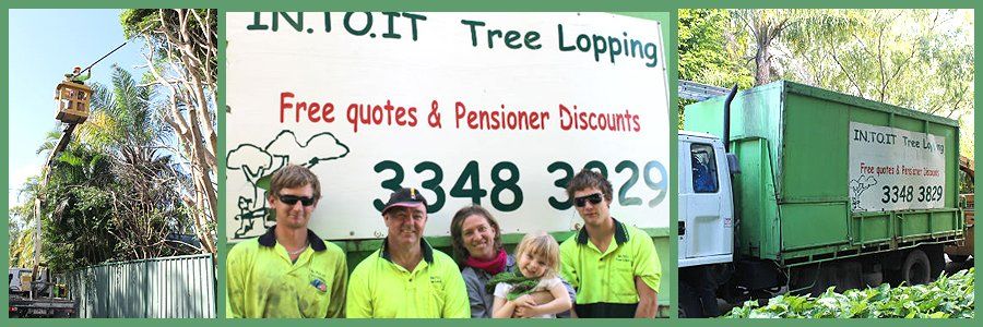 tree lopping company in Brisbane