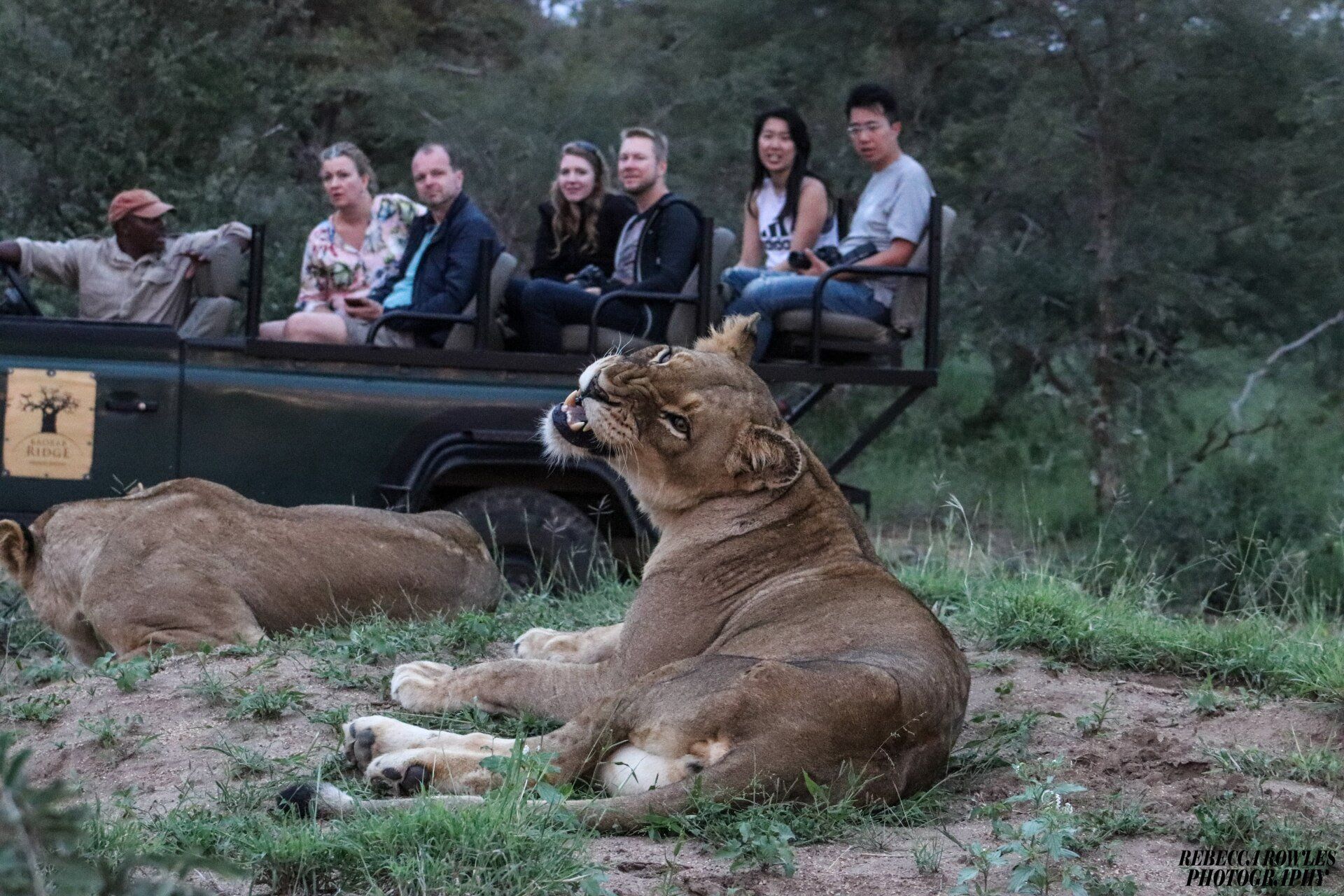 Baobab Ridge Game Drives