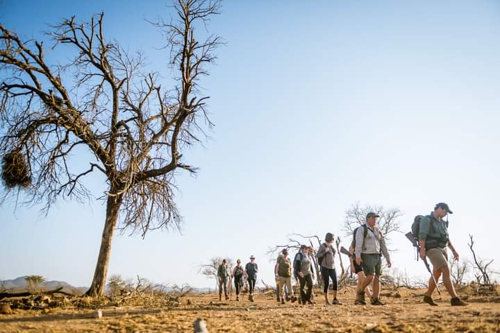 Guided Safari Hoedspruit