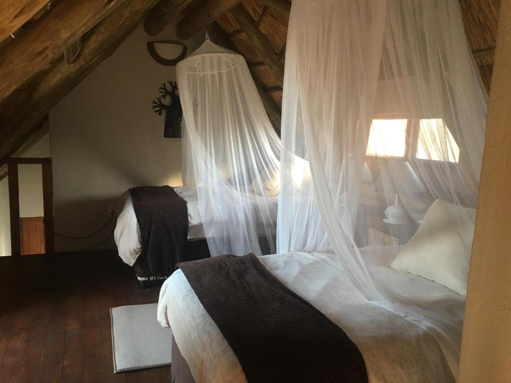 Giraffe Lodge accommodation