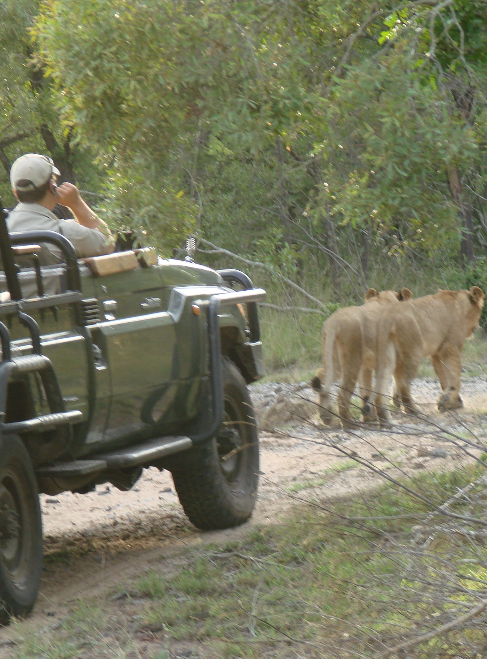 Game Drive Nyala Safari Lodge