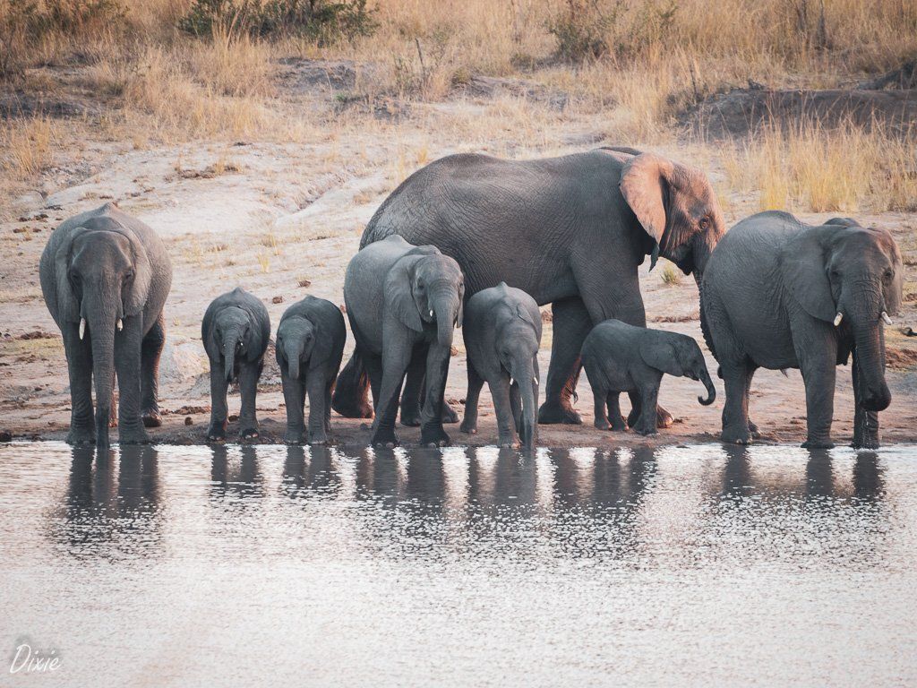 Kruger National Park