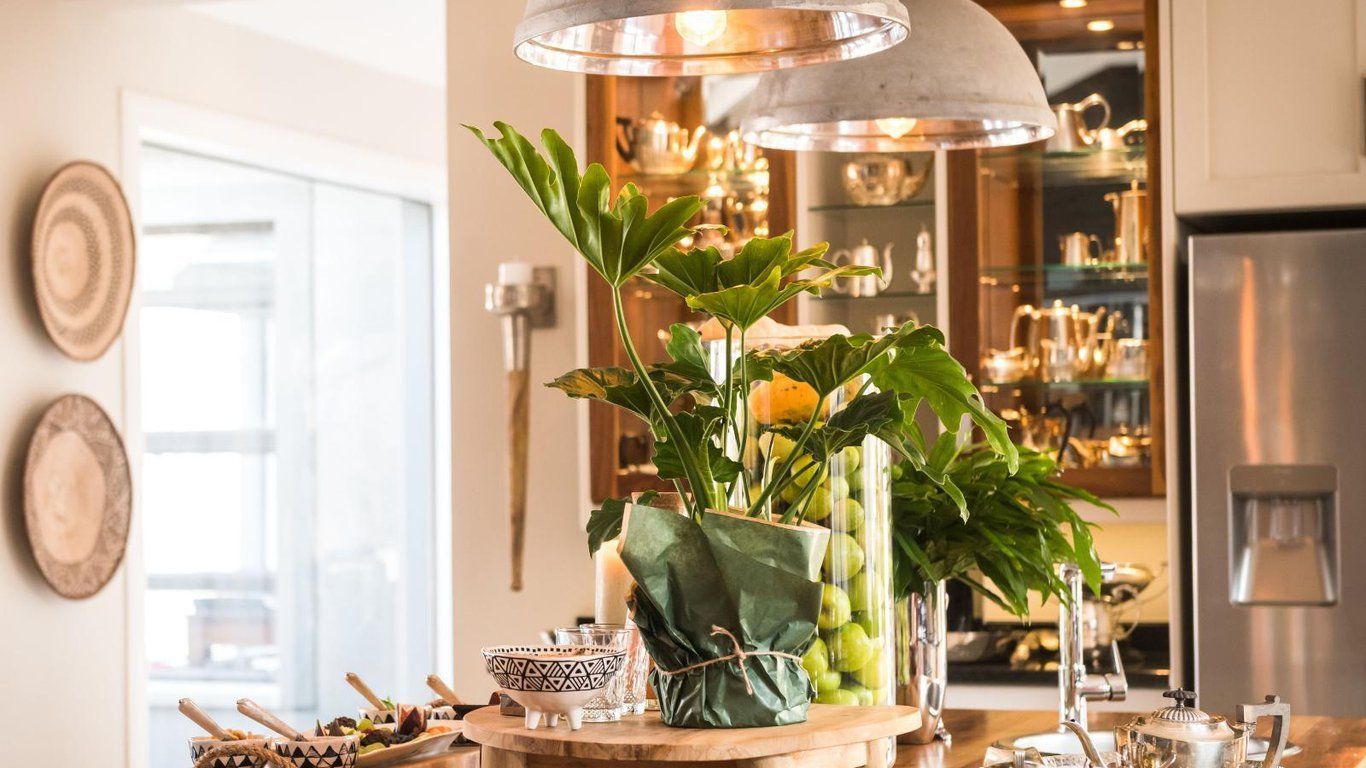 Safari Moon Hoedspruit Wildlife Estate