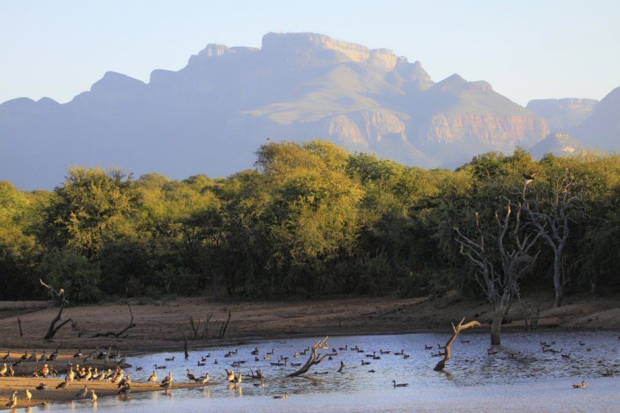 Zandspruit Bush & Aero Estate