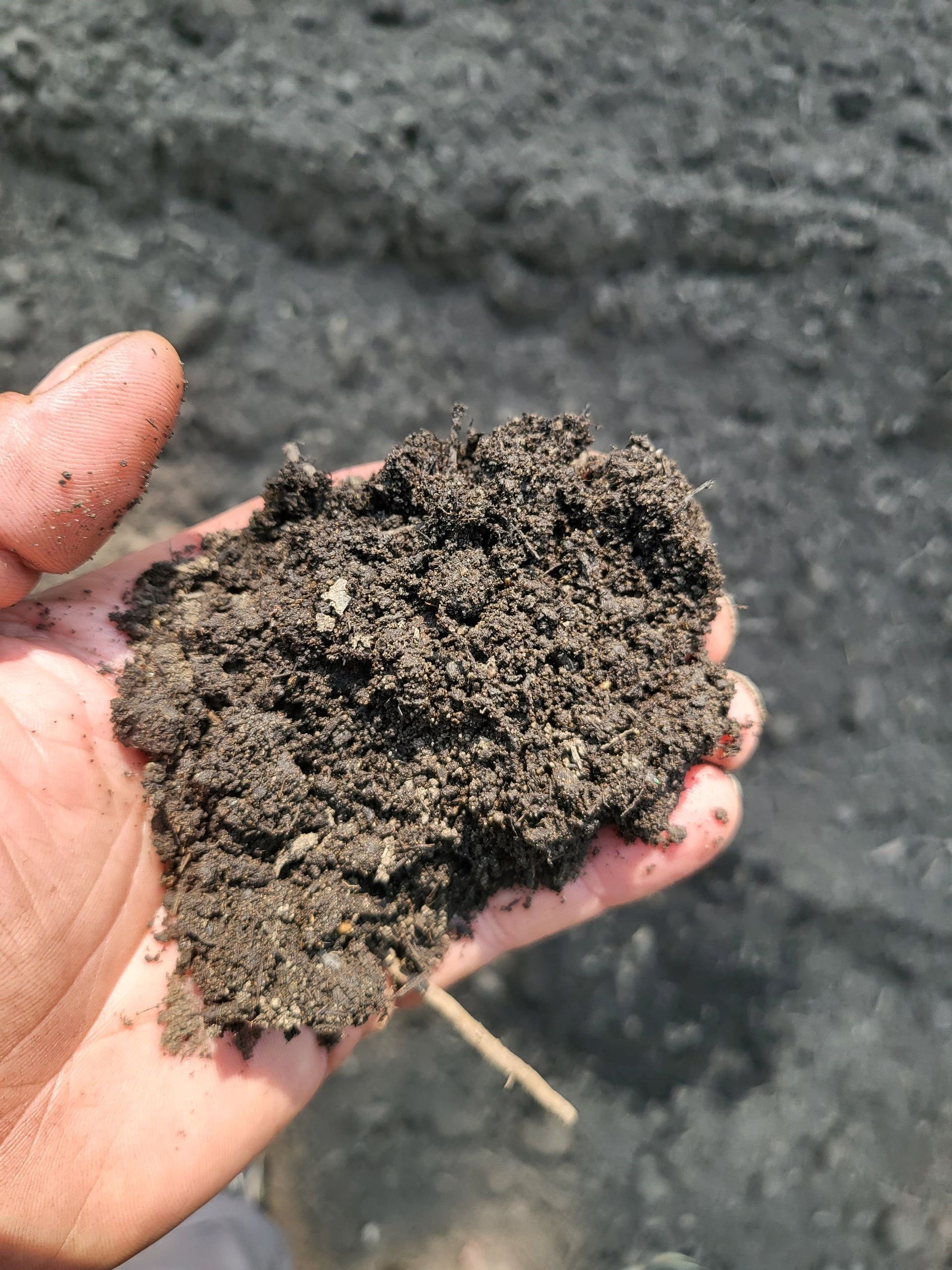 Organic compost