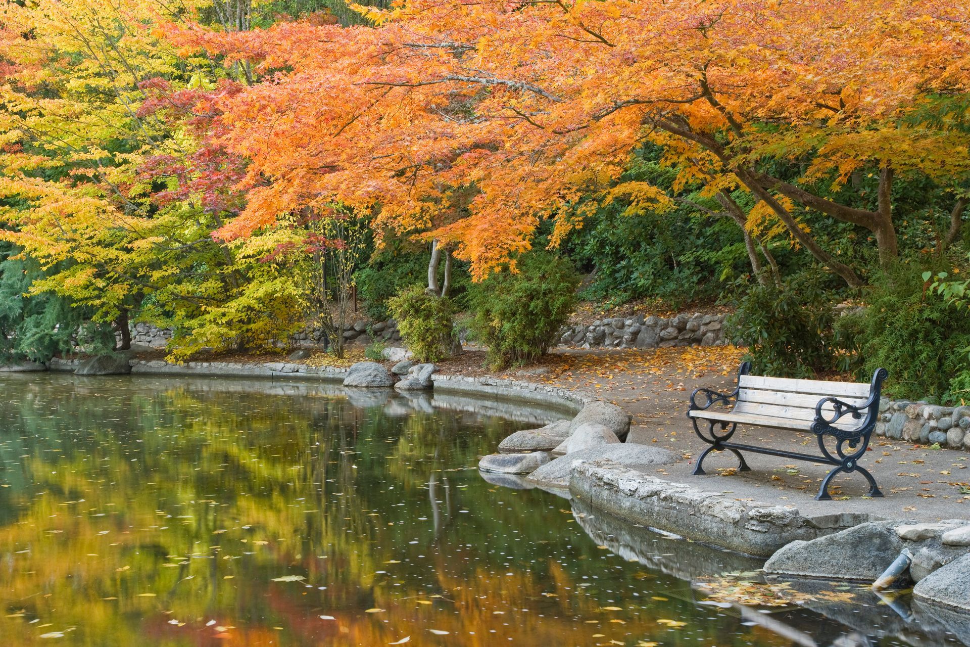 A park bench is sitting next to a lake with trees in the background.