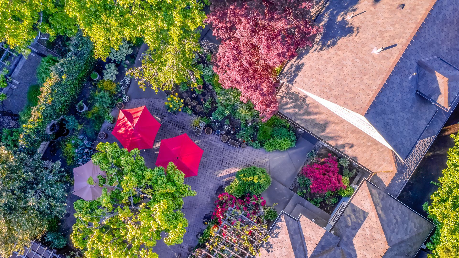 An aerial view of a patio with red umbrellas and trees.